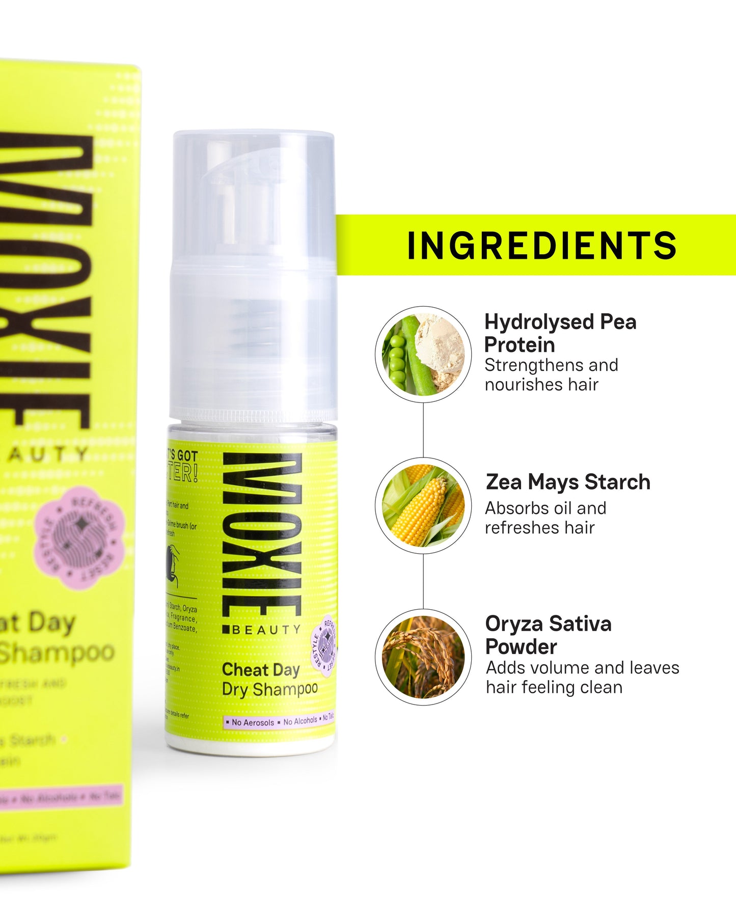 Cheat Day Powder Dry Shampoo