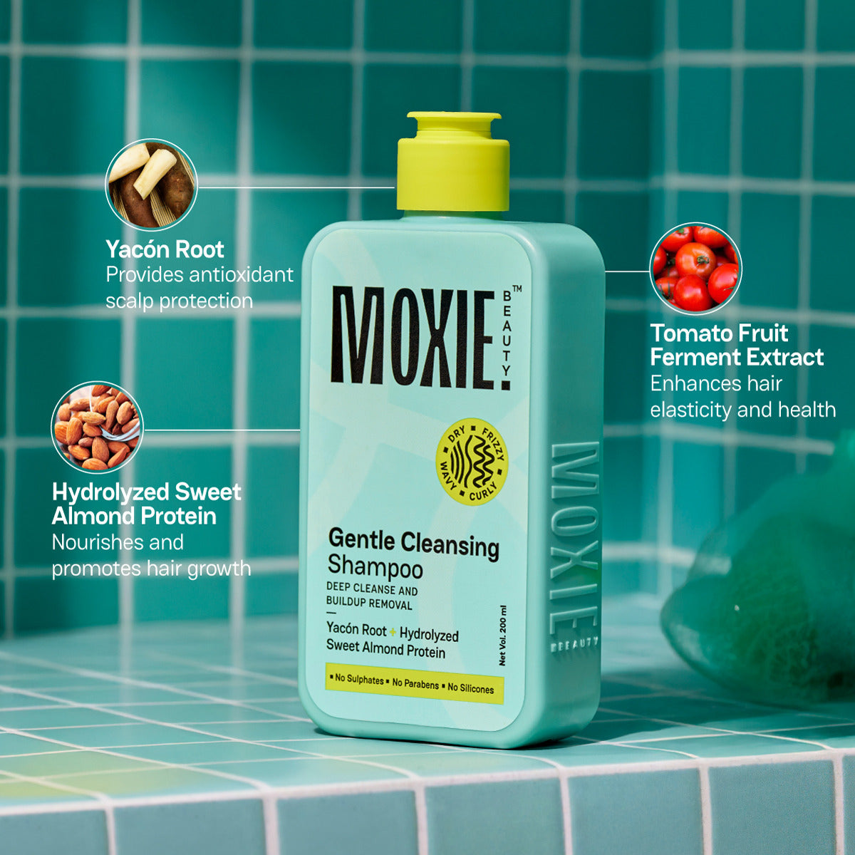 Cleansing Shampoo ingredients with yacón root, hydrolyzed sweet almond protein, and tomato fruit ferment extract