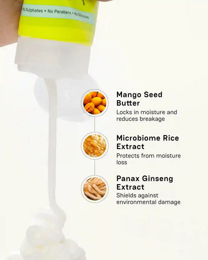 Key ingredients in Moxie wavy products: yacón root, mango seed butter and keratin amino acids