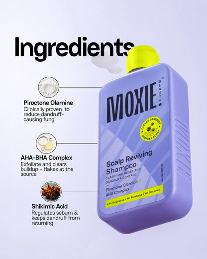 Moxie Scalp Reviving Shampoo Key Ingredients Scalp-Soothing Formula for Dandruff & Flake Control